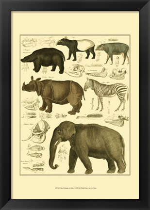 Framed Elephant &amp; Zebra Print