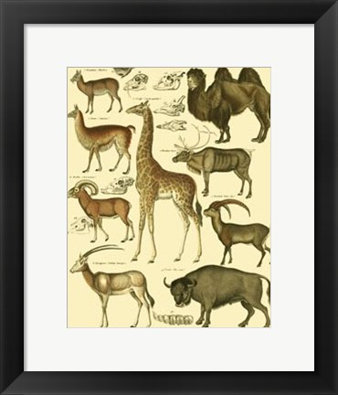 Framed Giraffe &amp; Camel Print