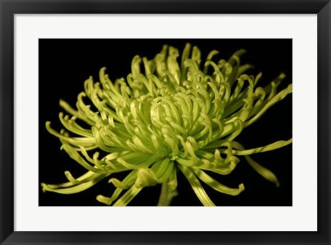 Framed Fuji Mum II Print