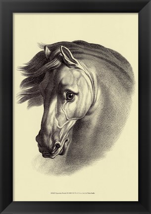 Framed Equestrian Portrait I Print