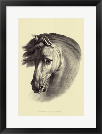 Framed Equestrian Portrait I Print