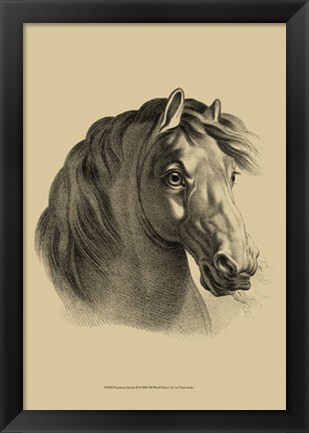 Framed Equestrian Portrait II Print