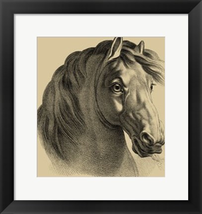 Framed Equestrian Portrait II Print