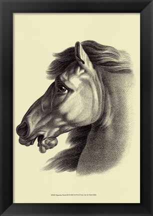 Framed Equestrian Portrait III Print