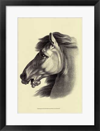 Framed Equestrian Portrait III Print