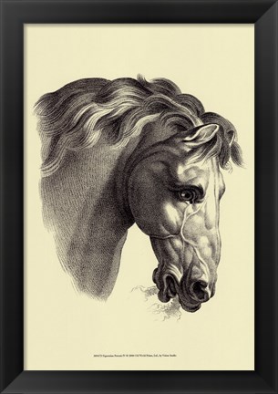 Framed Equestrian Portrait IV Print