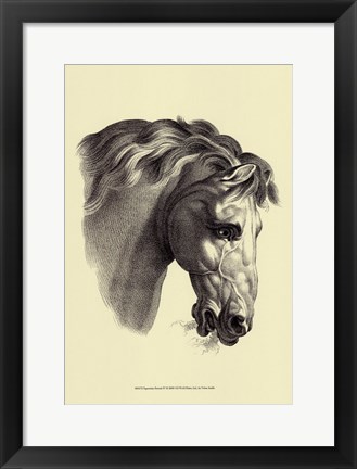 Framed Equestrian Portrait IV Print