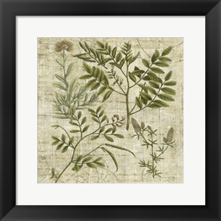 Framed Garden Verses II Print