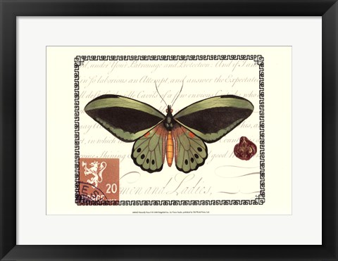 Framed Butterfly Prose II Print