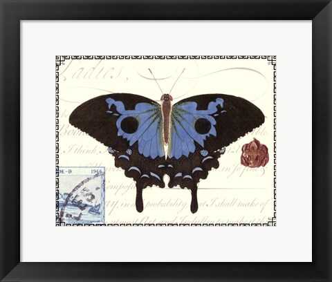 Framed Butterfly Prose III Print