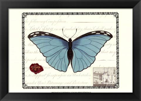 Framed Butterfly Prose IV Print