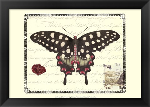 Framed Butterfly Prose V Print