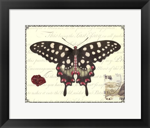 Framed Butterfly Prose V Print