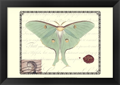 Framed Butterfly Prose VI Print