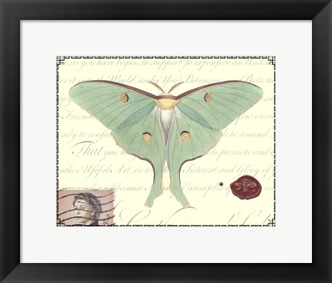 Framed Butterfly Prose VI Print