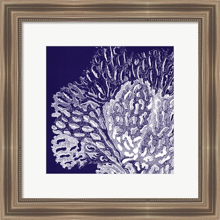 Framed Saturated Coral III Print