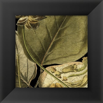 Framed Tranquil Tropical Leaves I Print