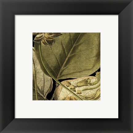 Framed Tranquil Tropical Leaves I Print