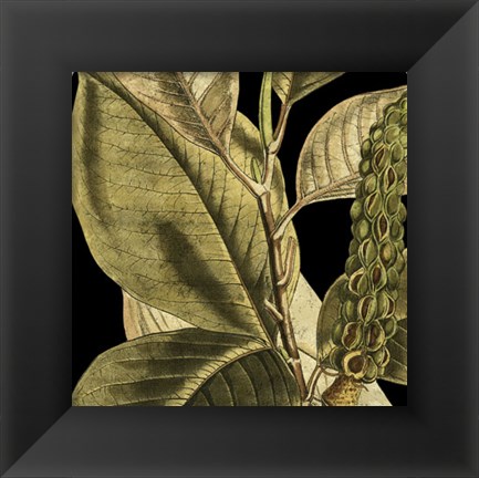 Framed Tranquil Tropical Leaves II Print