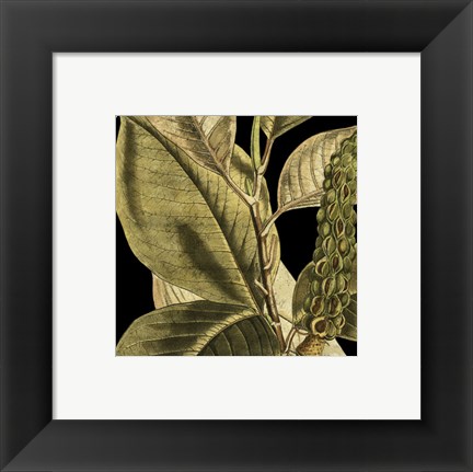 Framed Tranquil Tropical Leaves II Print