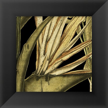 Framed Tranquil Tropical Leaves III Print