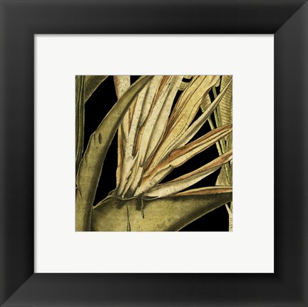 Framed Tranquil Tropical Leaves III Print