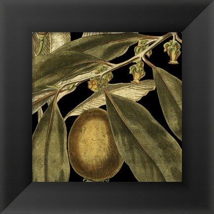 Framed Tranquil Tropical Leaves IV Print