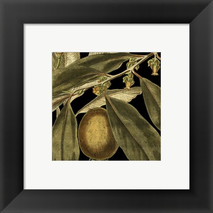 Framed Tranquil Tropical Leaves IV Print