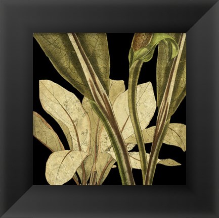 Framed Tranquil Tropical Leaves V Print