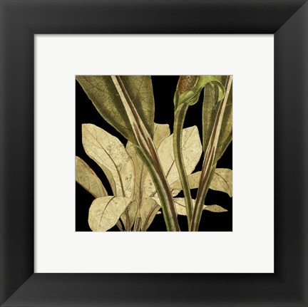 Framed Tranquil Tropical Leaves V Print