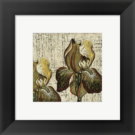 Framed Vintage Composition III Print