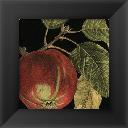 Framed Dramatic Apple Print