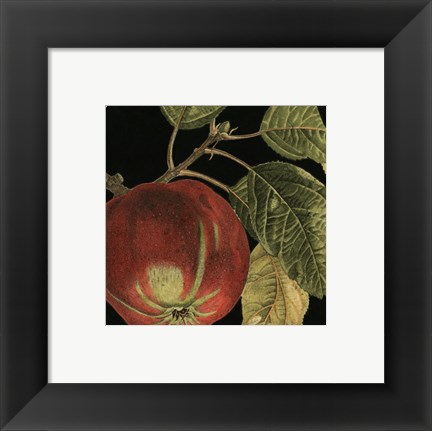 Framed Dramatic Apple Print