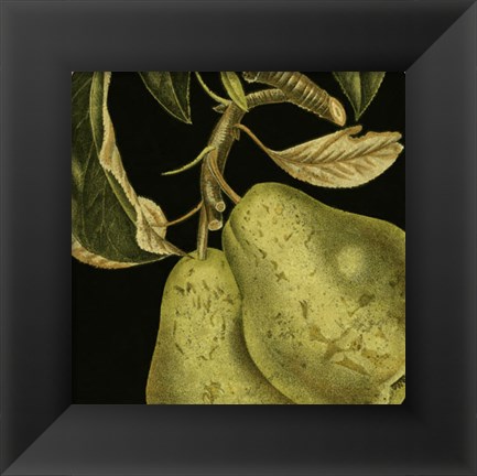 Framed Dramatic Pear Print