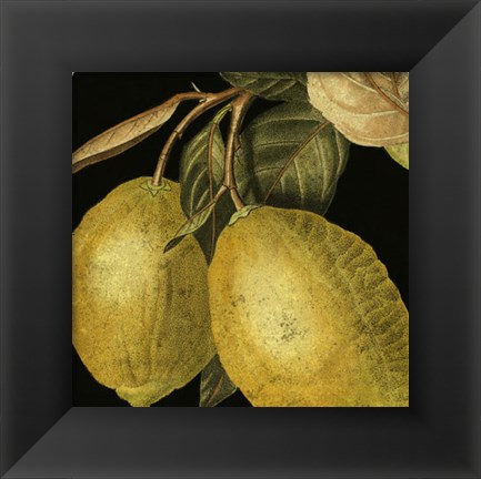 Framed Dramatic Lemon Print