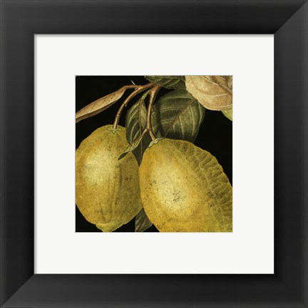 Framed Dramatic Lemon Print