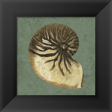 Framed Oceans Treasure III Print