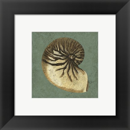 Framed Oceans Treasure III Print