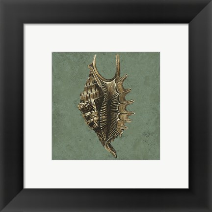 Framed Oceans Treasure V Print