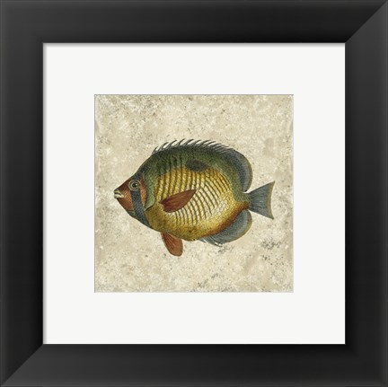 Framed Butterfly Fish I Print