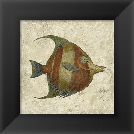 Framed Angel Fish II Print