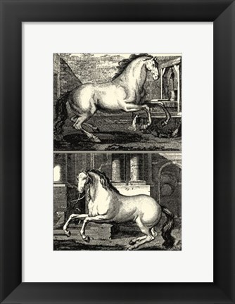 Framed Galloping Horses II Print