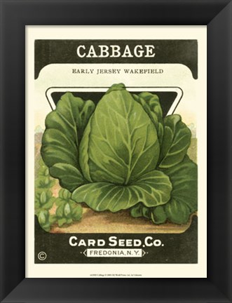 Framed Cabbage Print