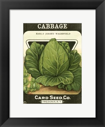 Framed Cabbage Print