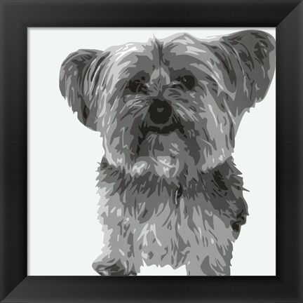 Framed Yorkie Print