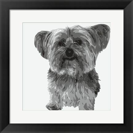 Framed Yorkie Print