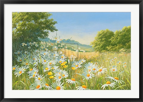 Framed Mostly Daisies Print