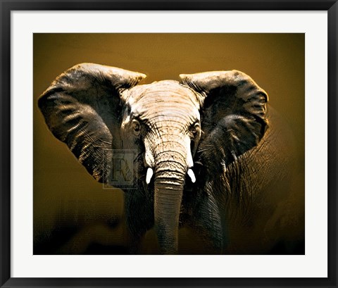 Framed On Safari Print