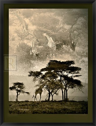 Framed Tanzanian Landscape Print