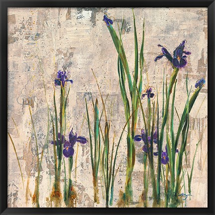 Framed Iris Mist Print